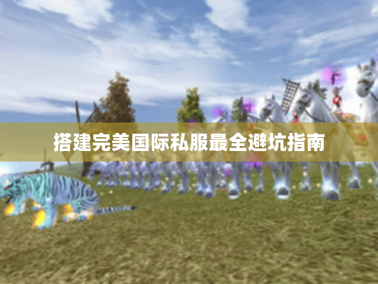 搭建完美国际私服最全避坑指南