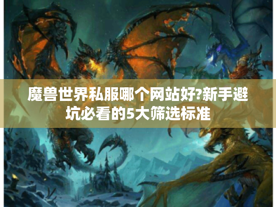 魔兽世界私服哪个网站好?新手避坑必看的5大筛选标准