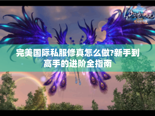 完美国际私服修真怎么做?新手到高手的进阶全指南