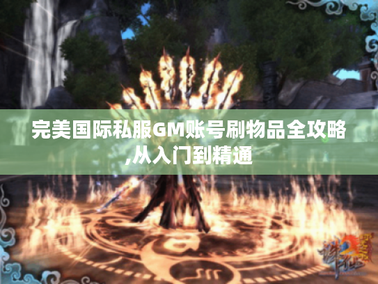 完美国际私服GM账号刷物品全攻略,从入门到精通