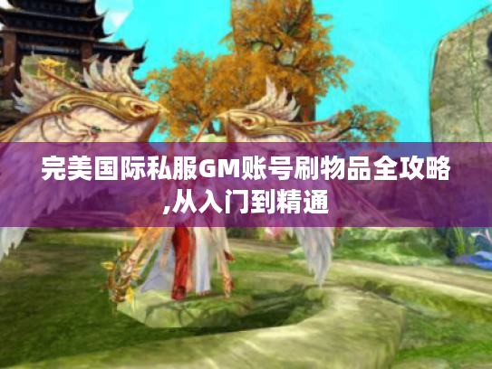 完美国际私服GM账号刷物品全攻略,从入门到精通