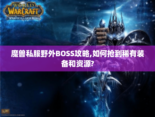 魔兽私服野外BOSS攻略,如何抢到稀有装备和资源?