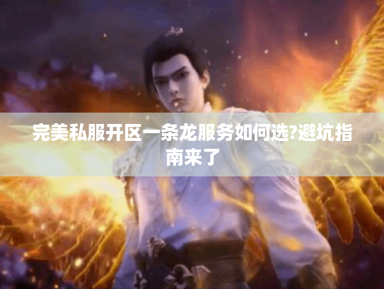 完美私服开区一条龙服务如何选?避坑指南来了