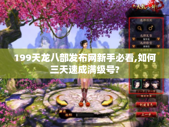 199天龙八部发布网新手必看,如何三天速成满级号?