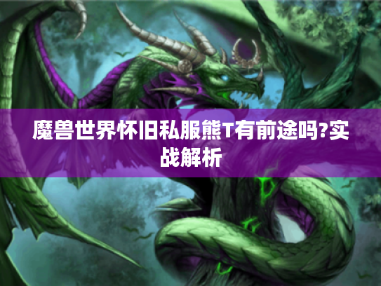 魔兽世界怀旧私服熊T有前途吗?实战解析