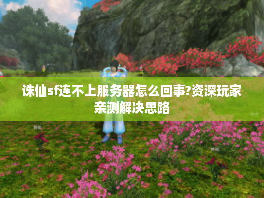 诛仙sf连不上服务器怎么回事?资深玩家亲测解决思路
