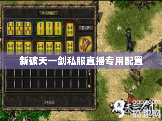 新破天一剑私服直播专用配置