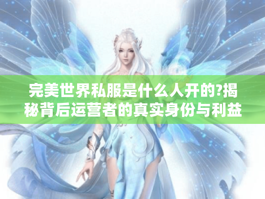 完美世界私服是什么人开的?揭秘背后运营者的真实身份与利益链条