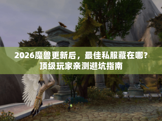 2026魔兽更新后，最佳私服藏在哪？顶级玩家亲测避坑指南