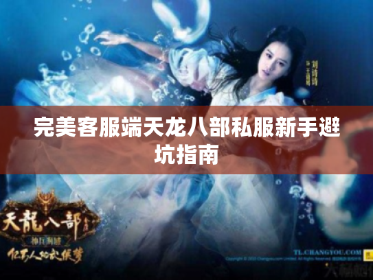 完美客服端天龙八部私服新手避坑指南