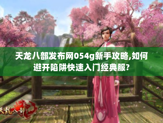 天龙八部发布网054g新手攻略,如何避开陷阱快速入门经典服?