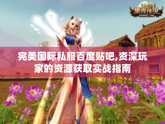 完美国际私服百度贴吧,资深玩家的资源获取实战指南