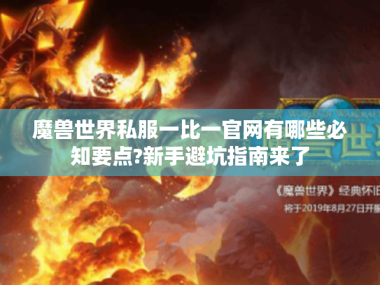 魔兽世界私服一比一官网有哪些必知要点?新手避坑指南来了