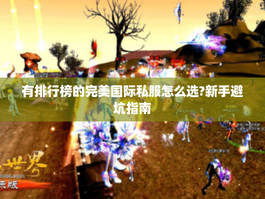 有排行榜的完美国际私服怎么选?新手避坑指南