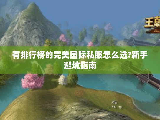 有排行榜的完美国际私服怎么选?新手避坑指南