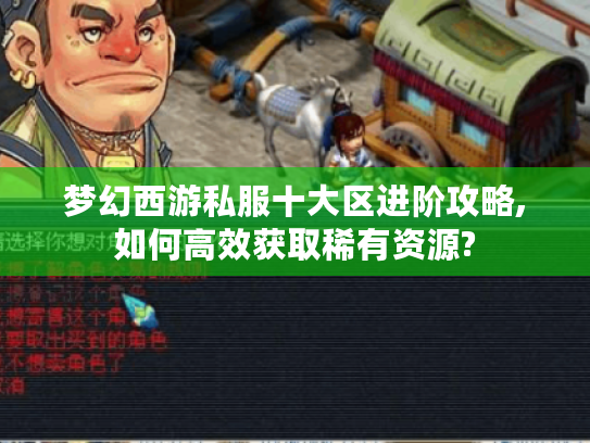 梦幻西游私服十大区进阶攻略,如何高效获取稀有资源?