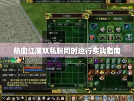 热血江湖双私服同时运行实战指南