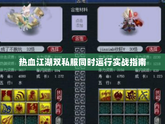 热血江湖双私服同时运行实战指南