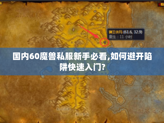 国内60魔兽私服新手必看,如何避开陷阱快速入门?