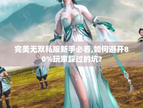 完美无双私服新手必看,如何避开80%玩家踩过的坑?