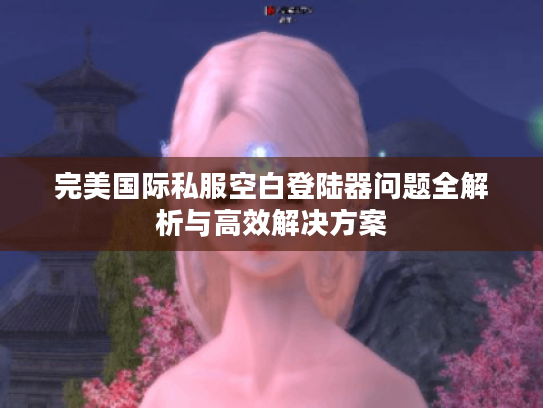 完美国际私服空白登陆器问题全解析与高效解决方案