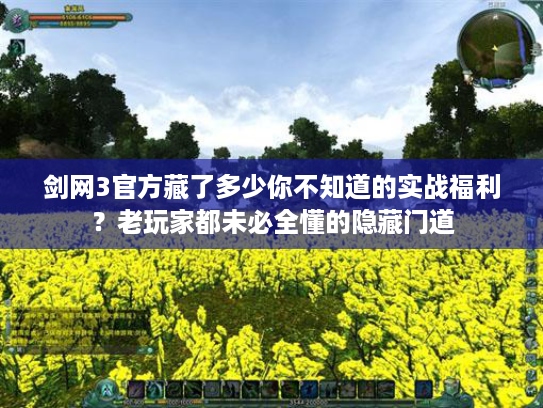 剑网3官方藏了多少你不知道的实战福利？老玩家都未必全懂的隐藏门道