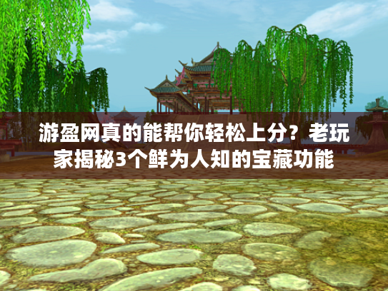 游盈网真的能帮你轻松上分？老玩家揭秘3个鲜为人知的宝藏功能