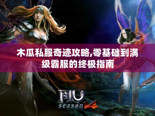 木瓜私服奇迹攻略,零基础到满级霸服的终极指南