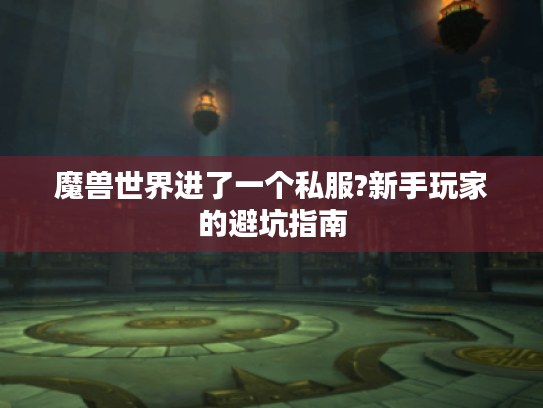 魔兽世界进了一个私服?新手玩家的避坑指南
