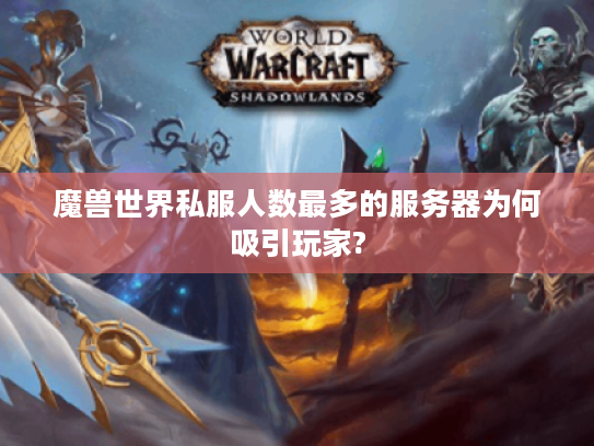 魔兽世界私服人数最多的服务器为何吸引玩家?