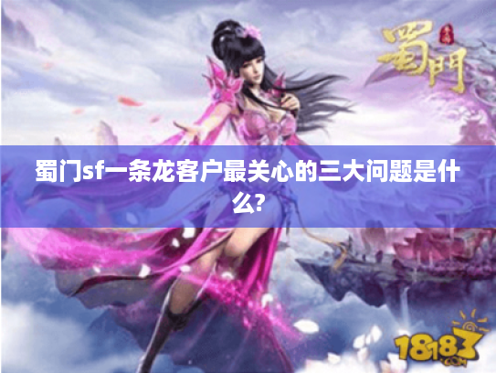 蜀门sf一条龙客户最关心的三大问题是什么?