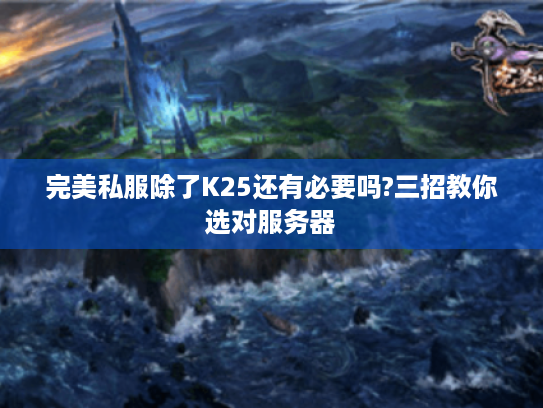 完美私服除了K25还有必要吗?三招教你选对服务器