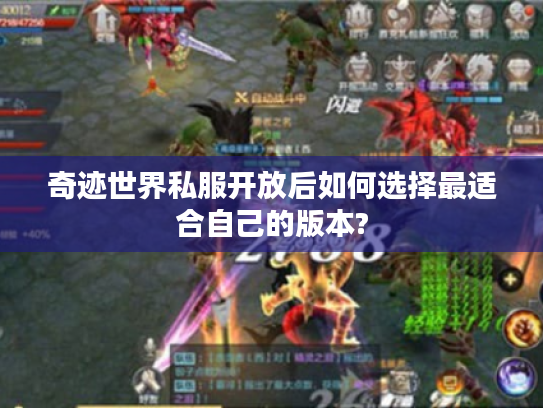 奇迹世界私服开放后如何选择最适合自己的版本?