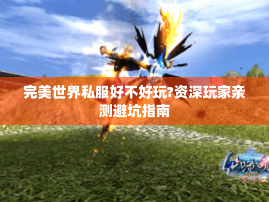 完美世界私服好不好玩?资深玩家亲测避坑指南