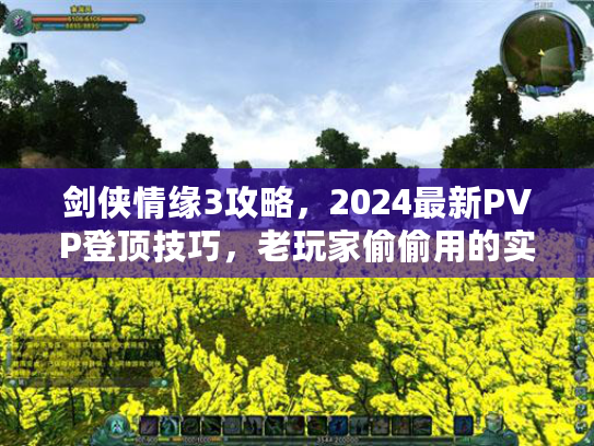 剑侠情缘3攻略，2024最新PVP登顶技巧，老玩家偷偷用的实战套路