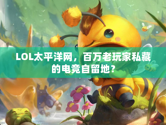 LOL太平洋网，百万老玩家私藏的电竞自留地？