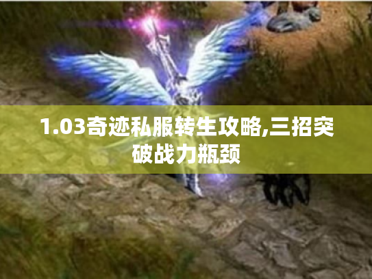 1.03奇迹私服转生攻略,三招突破战力瓶颈