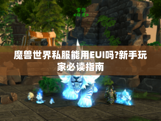 魔兽世界私服能用EUI吗?新手玩家必读指南