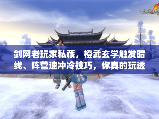 剑网老玩家私藏，橙武玄学触发暗线、阵营速冲冷技巧，你真的玩透了？