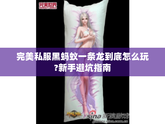 完美私服黑蚂蚁一条龙到底怎么玩?新手避坑指南