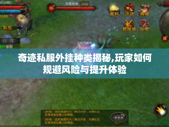 奇迹私服外挂种类揭秘,玩家如何规避风险与提升体验