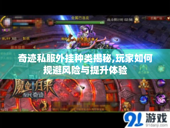 奇迹私服外挂种类揭秘,玩家如何规避风险与提升体验