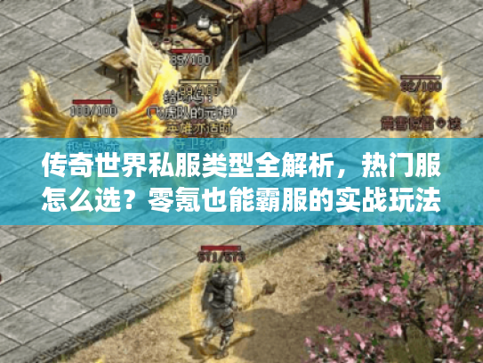 传奇世界私服类型全解析，热门服怎么选？零氪也能霸服的实战玩法