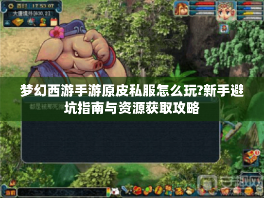 梦幻西游手游原皮私服怎么玩?新手避坑指南与资源获取攻略