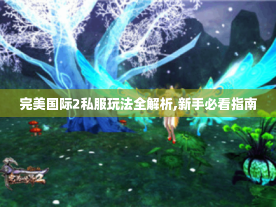 完美国际2私服玩法全解析,新手必看指南