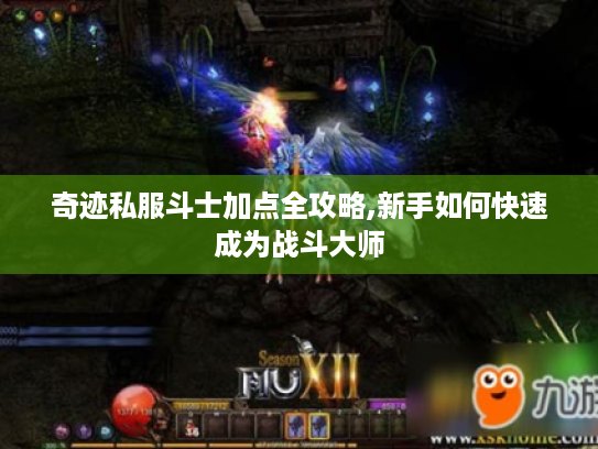 奇迹私服斗士加点全攻略,新手如何快速成为战斗大师