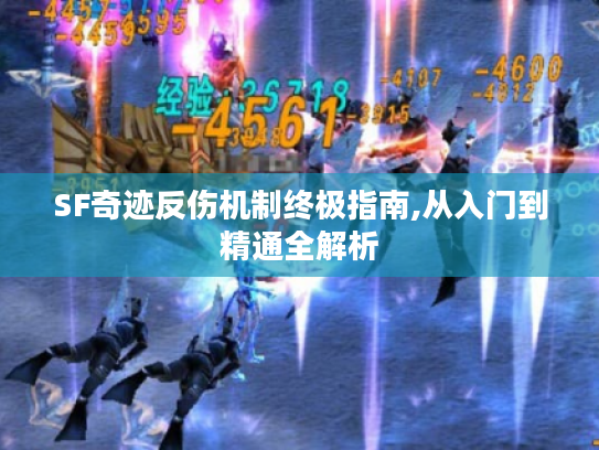 SF奇迹反伤机制终极指南,从入门到精通全解析