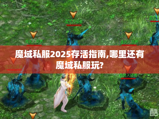魔域私服2025存活指南,哪里还有魔域私服玩?