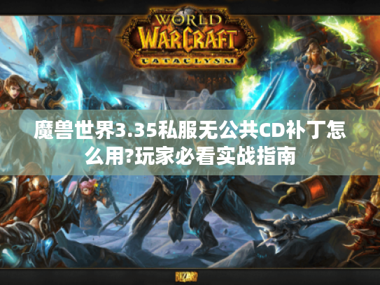 魔兽世界3.35私服无公共CD补丁怎么用?玩家必看实战指南
