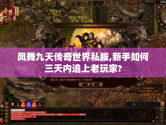 凤舞九天传奇世界私服,新手如何三天内追上老玩家?